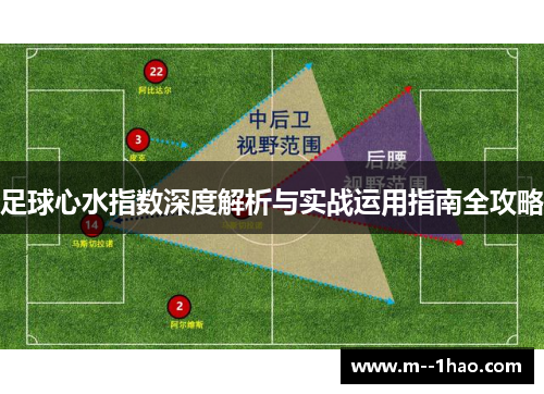 足球心水指数深度解析与实战运用指南全攻略 足球心水指数深度解析与实战运用指南全攻略