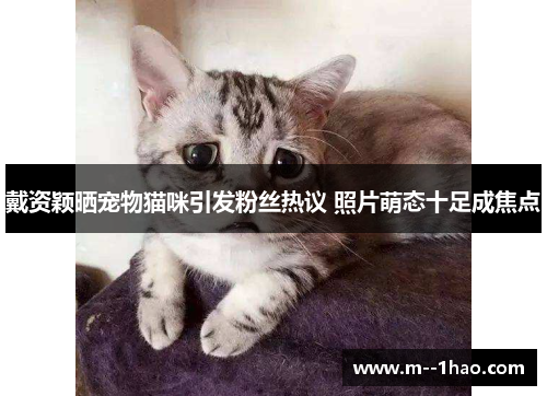 戴资颖晒宠物猫咪引发粉丝热议 照片萌态十足成焦点