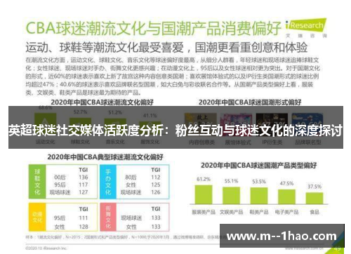 英超球迷社交媒体活跃度分析：粉丝互动与球迷文化的深度探讨