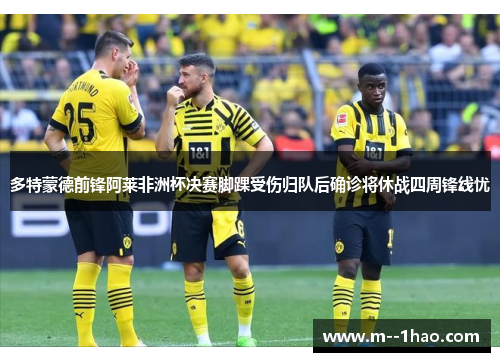 多特蒙德前锋阿莱非洲杯决赛脚踝受伤归队后确诊将休战四周锋线忧 多特蒙德前锋阿莱非洲杯决赛脚踝受伤归队后确诊将休战四周锋线忧