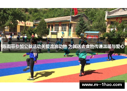 陈雨菲参加公益活动关爱流浪动物 为其送去食物传递温暖与爱心