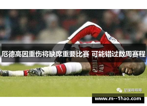 厄德高因重伤将缺席重要比赛 可能错过数周赛程