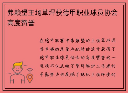 弗赖堡主场草坪获德甲职业球员协会高度赞誉